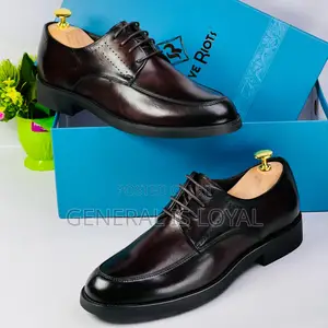 Steve Riots Lace Dark Coffee Shoe