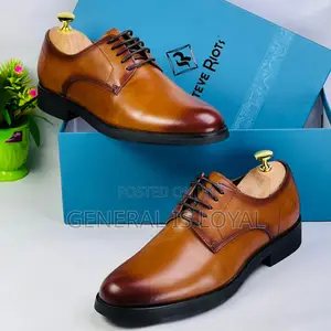 Steve Riots Brown Lace Shoe