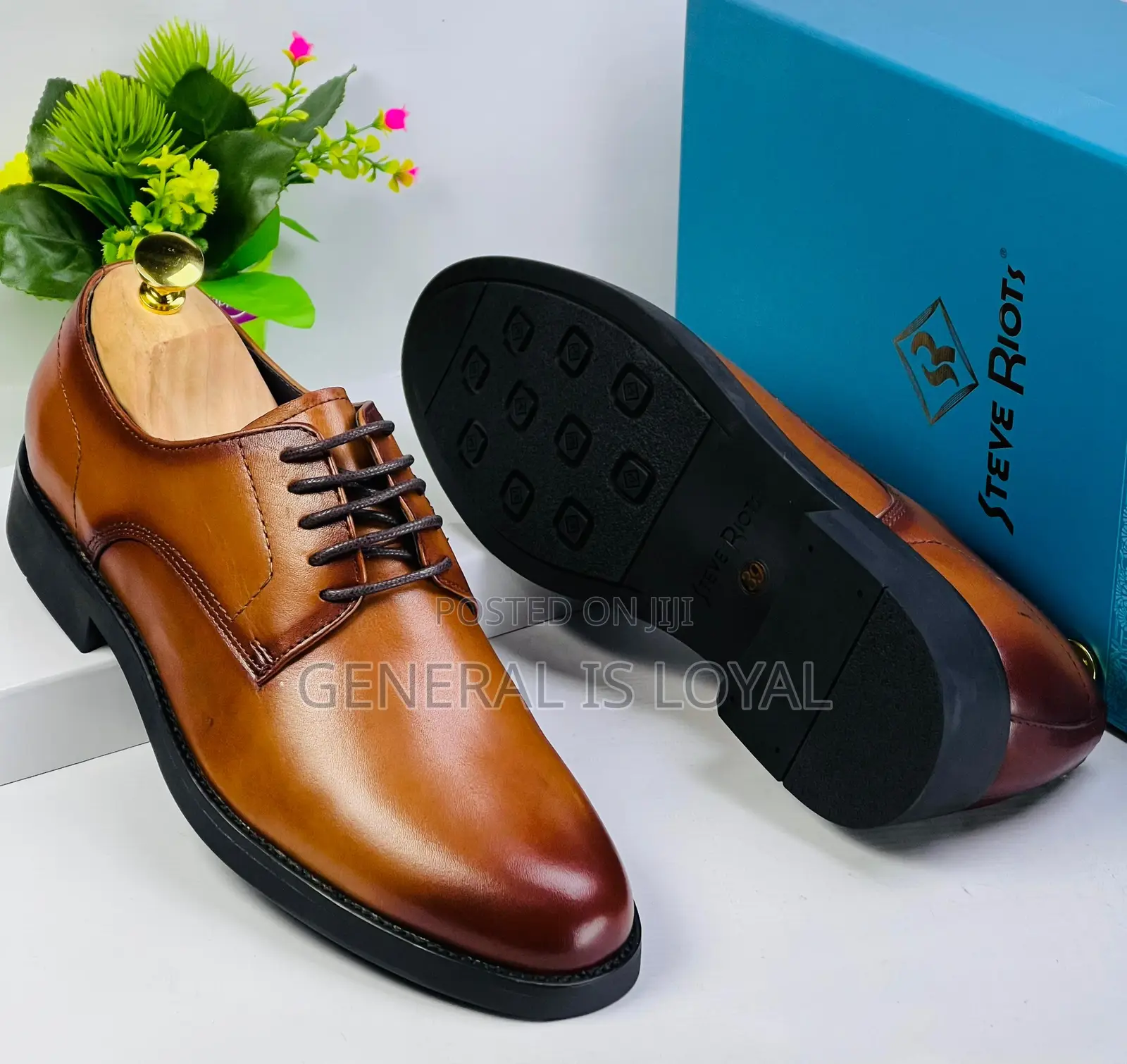Steve Riots Brown Lace Shoe