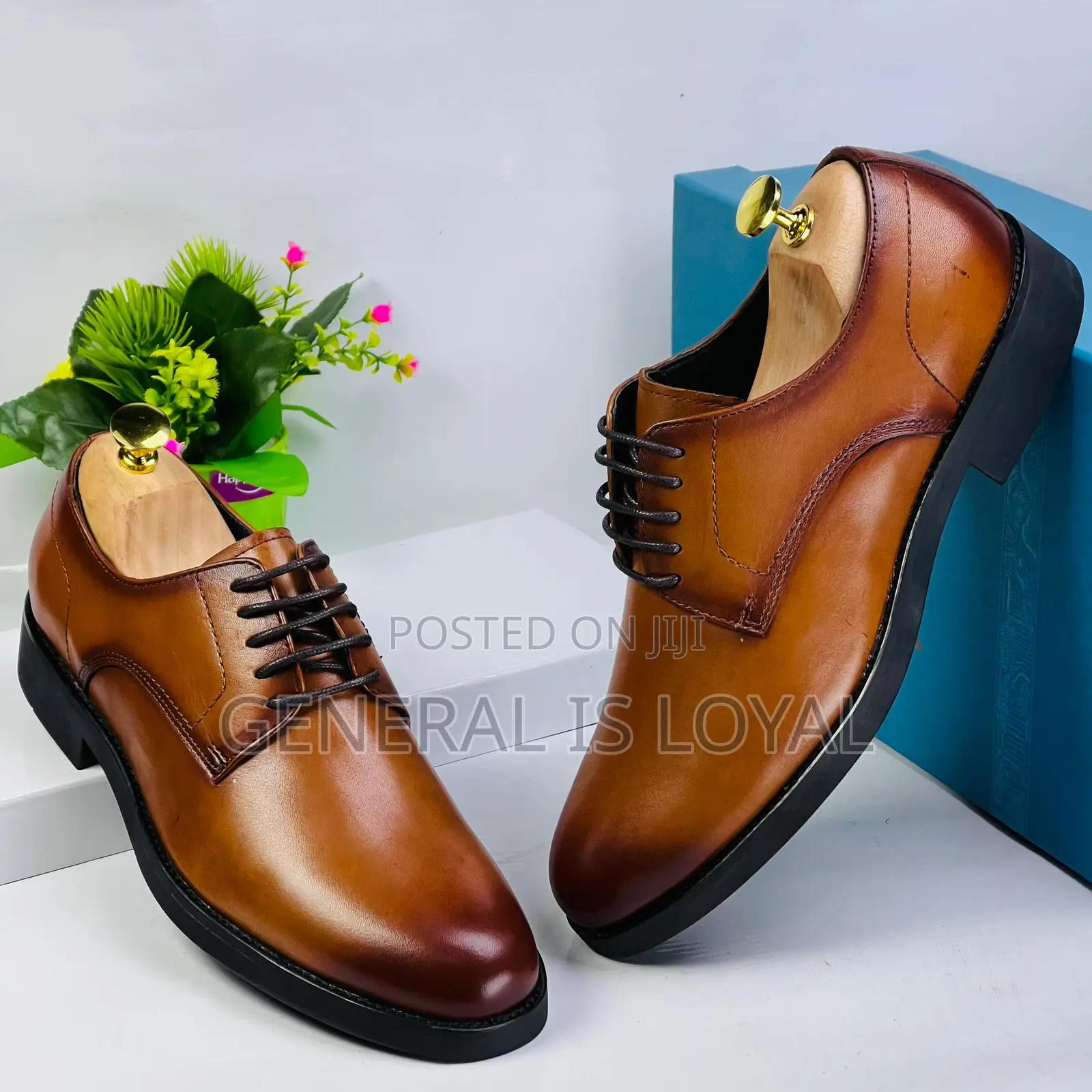 Steve Riots Brown Lace Shoe