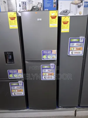 Best Durability 251 Litres Nasco Bottom Fridge Available