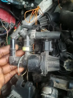 Purge Valves