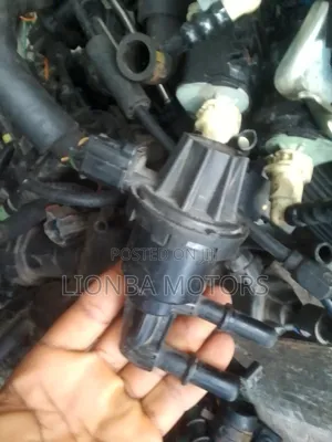 Purge Valves