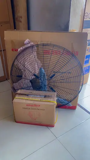 26 Inches Sunnywalk Wall Fan