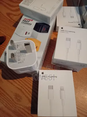 Dual Fast Charger for iPhone