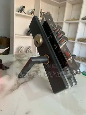 Quality China Door Lock