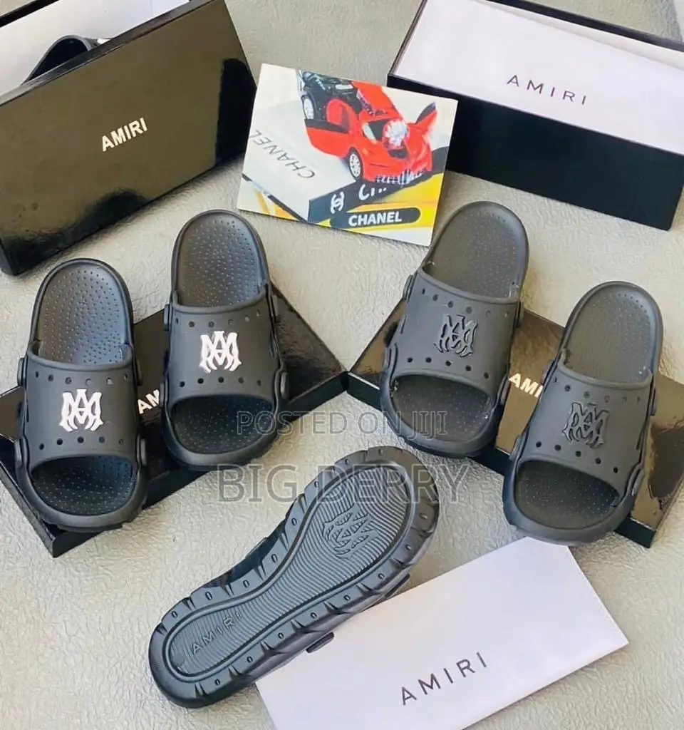 Amira Slides