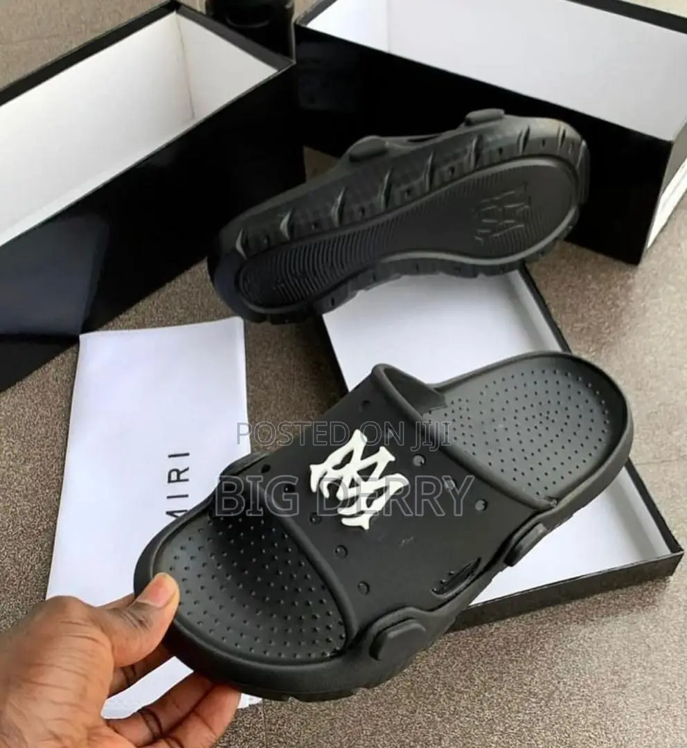 Amira Slides