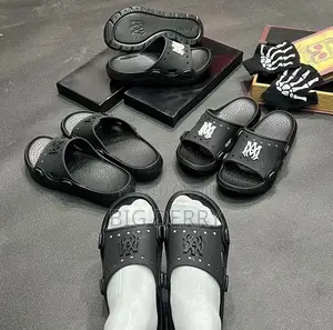 Amira Slides