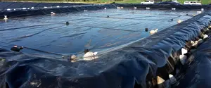 Hdpe Geomembrane 0.75mm (580m2)