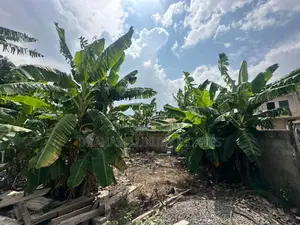  Prime 100x60ft Plot for Sale – Spintex-Batsona | $95,000