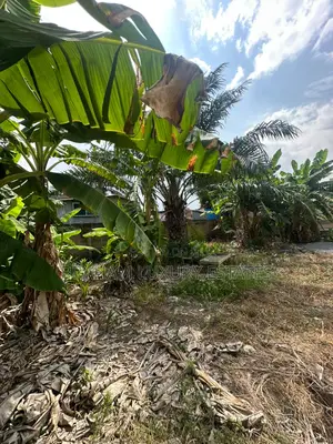  Prime 100x60ft Plot for Sale – Spintex-Batsona | $95,000