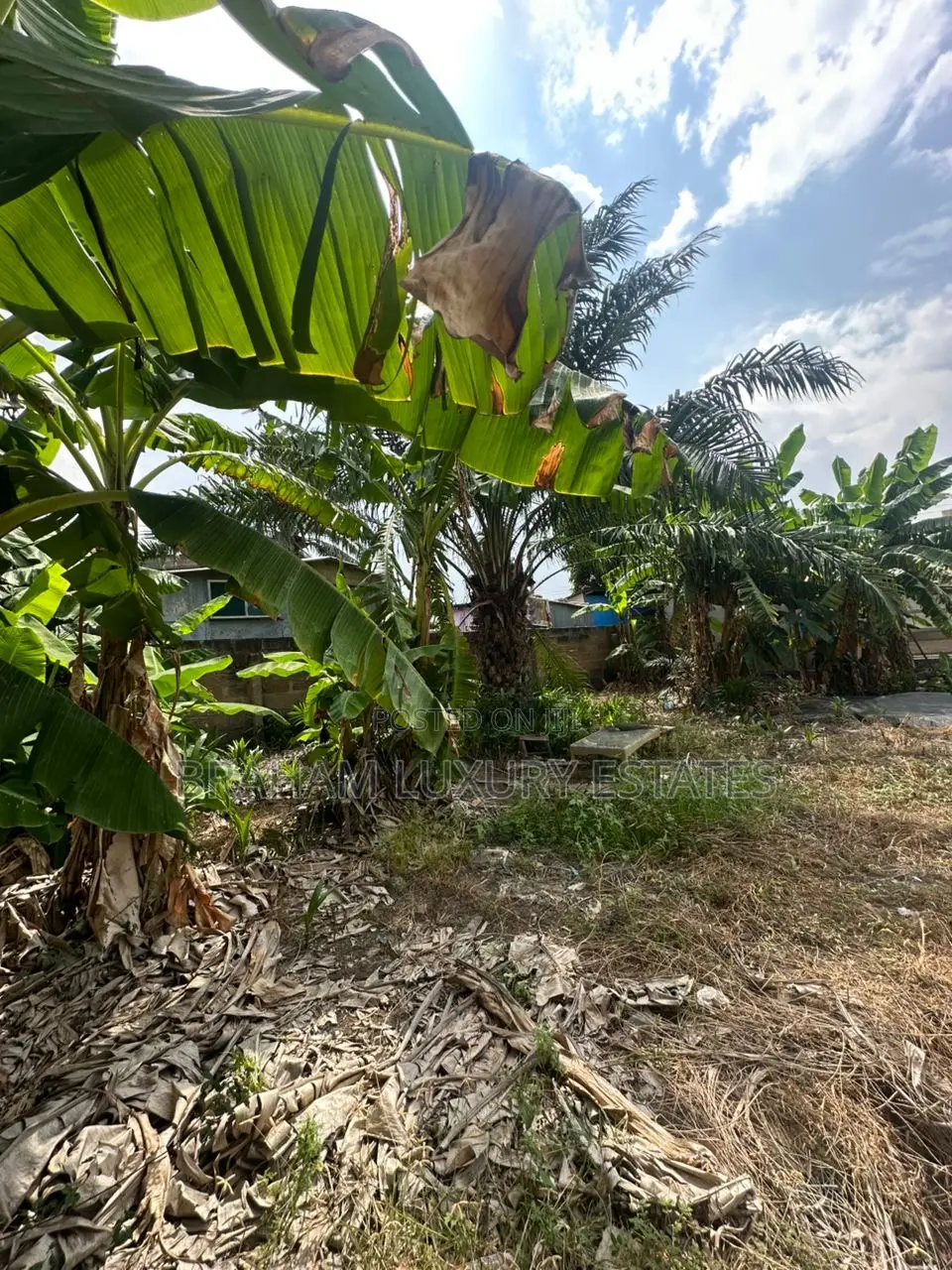  Prime 100x60ft Plot for Sale – Spintex-Batsona | $95,000