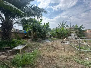 Prime 100x60ft Plot for Sale – Spintex-Batsona | $95,000