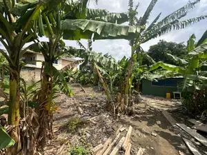  Prime 100x60ft Plot for Sale – Spintex-Batsona | $95,000