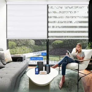 Beautiful Plain White Window Blinds