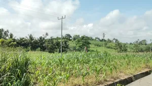 600 Acres of Roadside Land for Sale at Adeiso Bawjiase Road