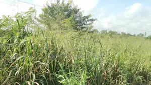 600 Acres of Roadside Land for Sale at Adeiso Bawjiase Road