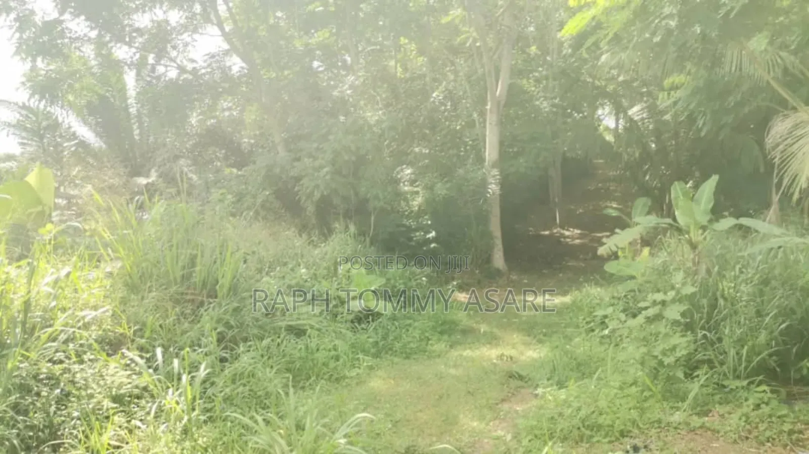 600 Acres of Roadside Land for Sale at Adeiso Bawjiase Road