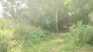600 Acres of Roadside Land for Sale at Adeiso Bawjiase Road