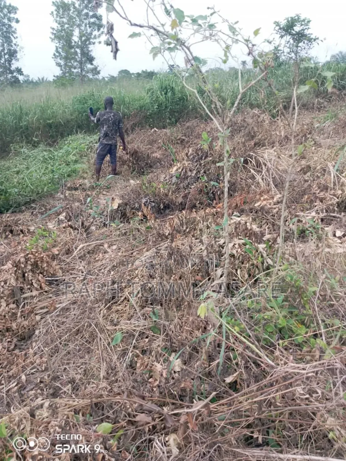 Farmland for Sale at Adeiso Bawjiase Road