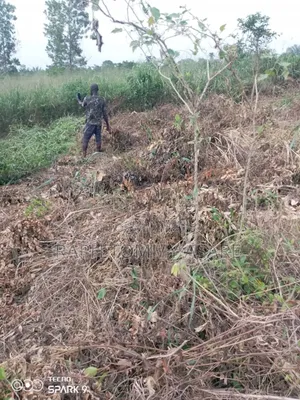Farmland for Sale at Adeiso Bawjiase Road