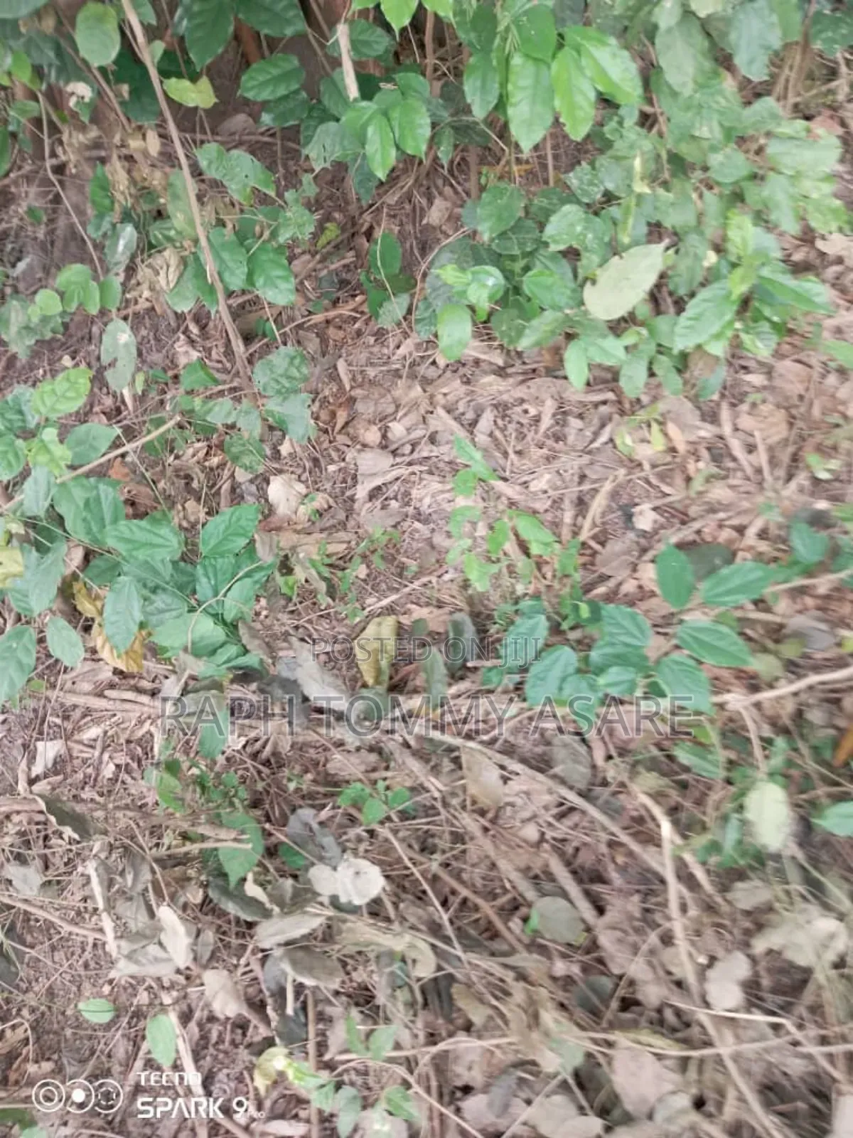 Farmland for Sale at Adeiso Bawjiase Road
