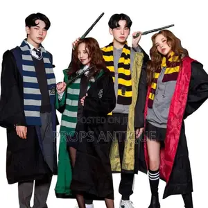 Harry Potter Costumes and Accessories