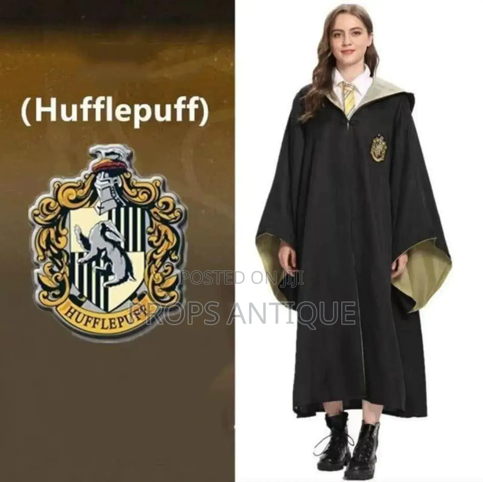 Harry Potter Costumes and Accessories