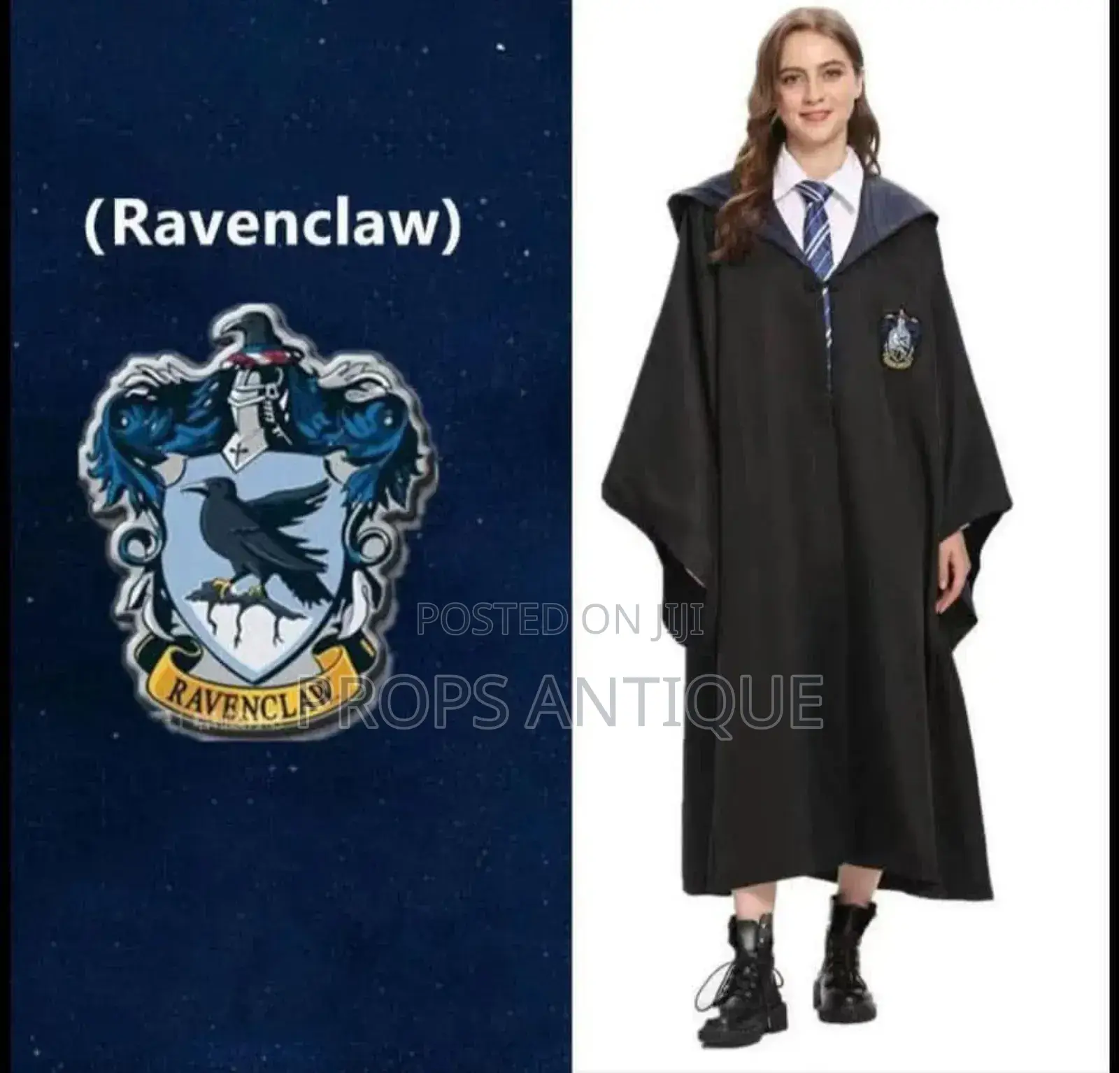 Harry Potter Costumes and Accessories