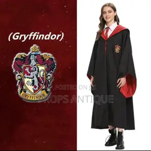 Harry Potter Costumes and Accessories