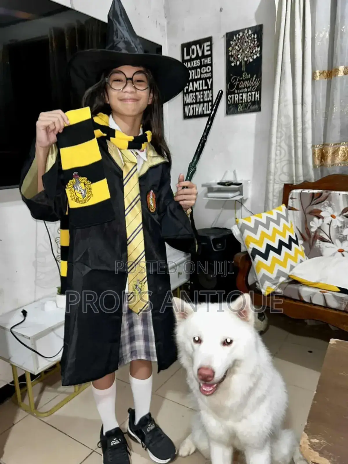 Harry Potter Costumes and Accessories