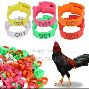 Chicken Tag