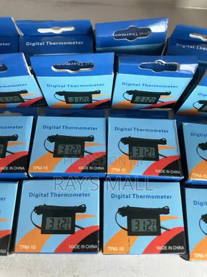 Digital Thermometer