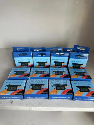 Digital Thermometer