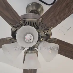 Vintage Luxurious Fan With Light