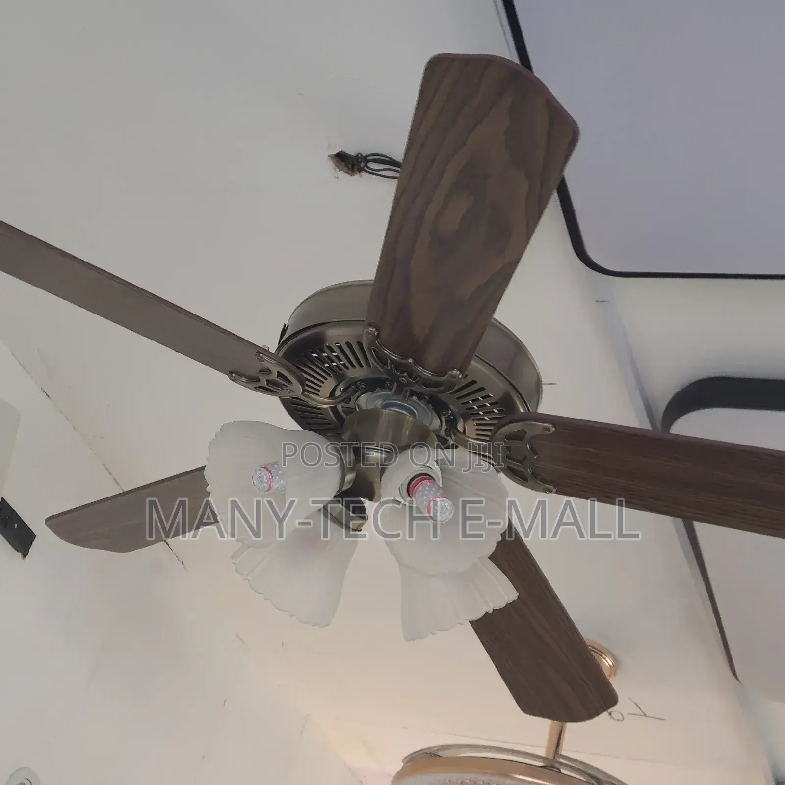 Vintage Luxurious Fan With Light