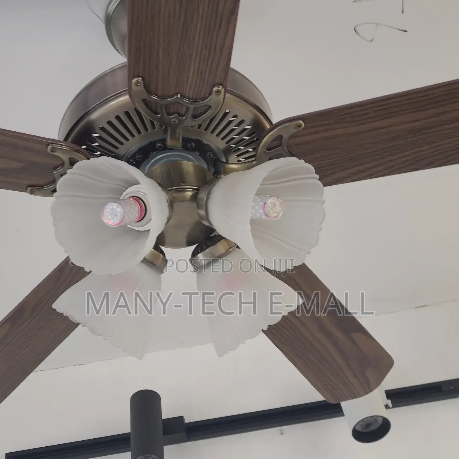 Vintage Luxurious Fan With Light