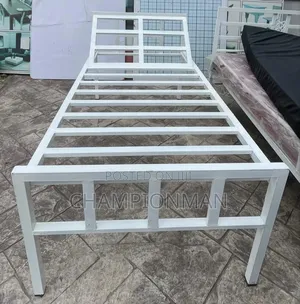 Hospital Bed
