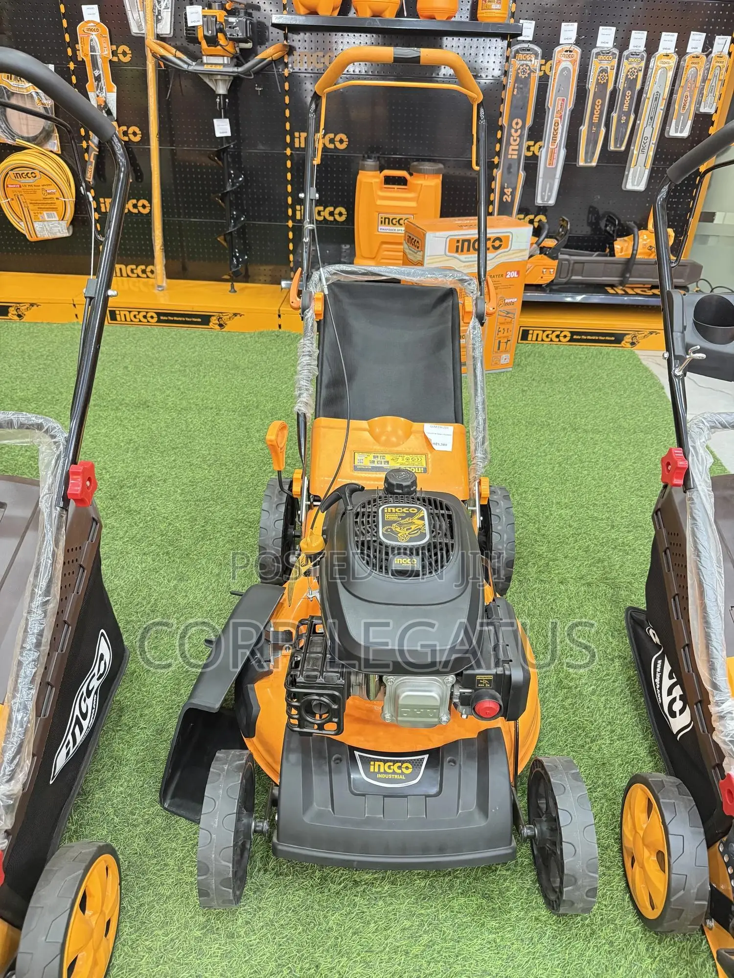 Ingco Gasoline Lawn Mower