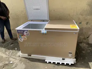 Express Nasco 425liters Double Door Chest Freezer