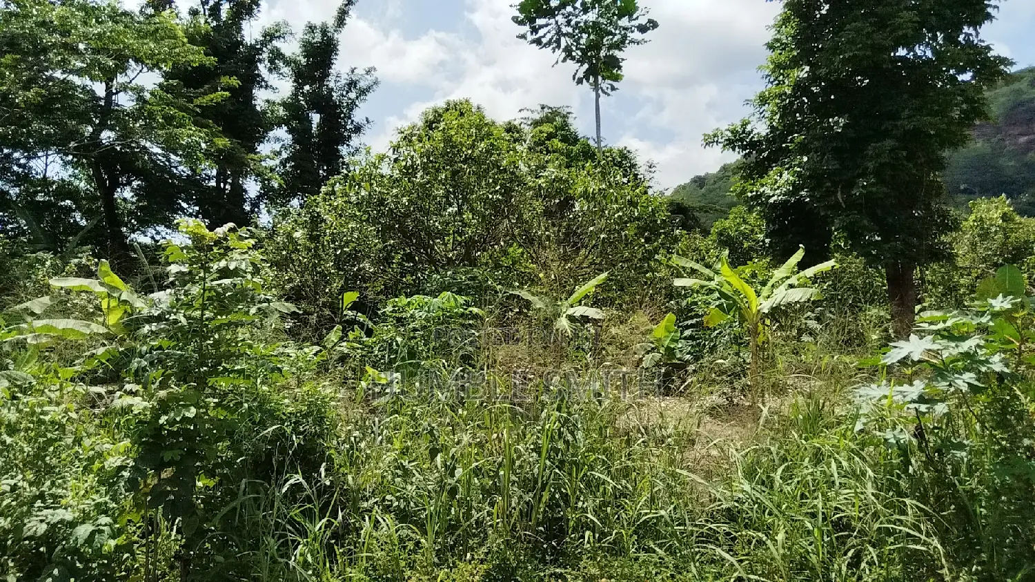 Land for Farming Purposes