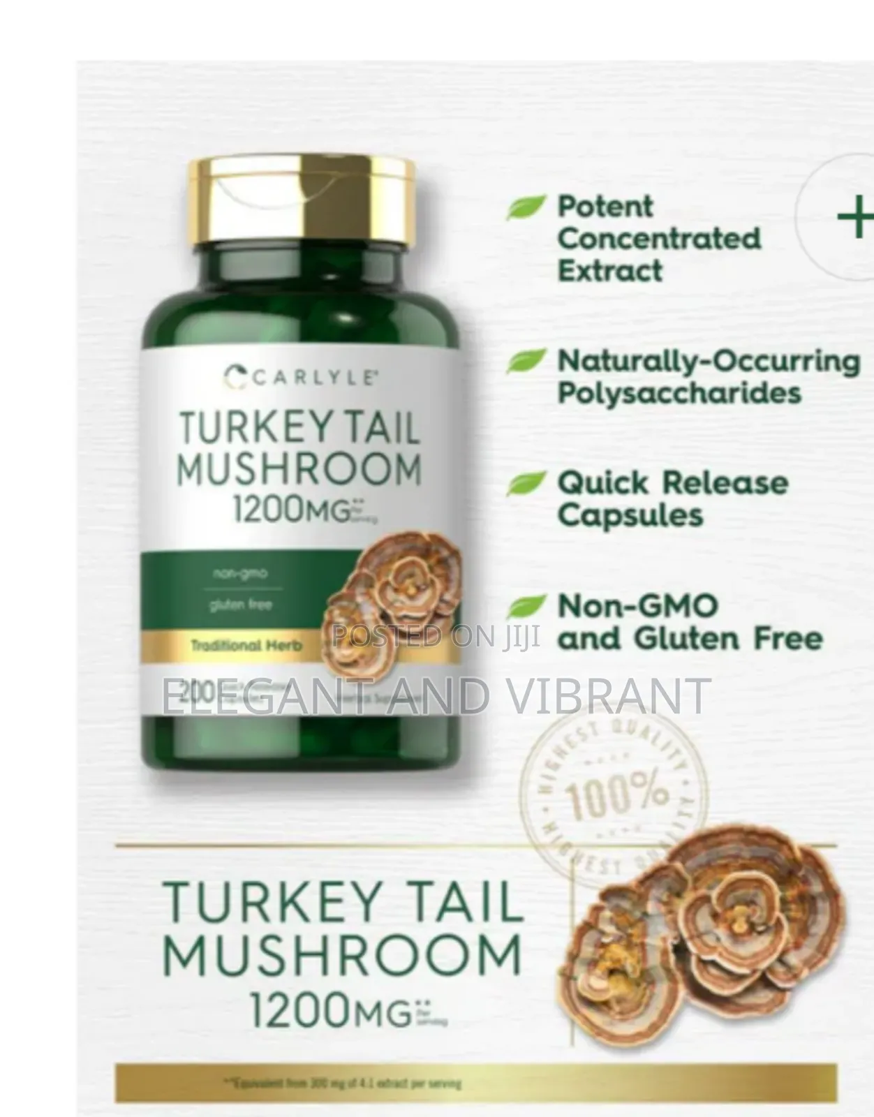 Turkey Tail Mushroom 1200mg Per Serving | 200 Capsules