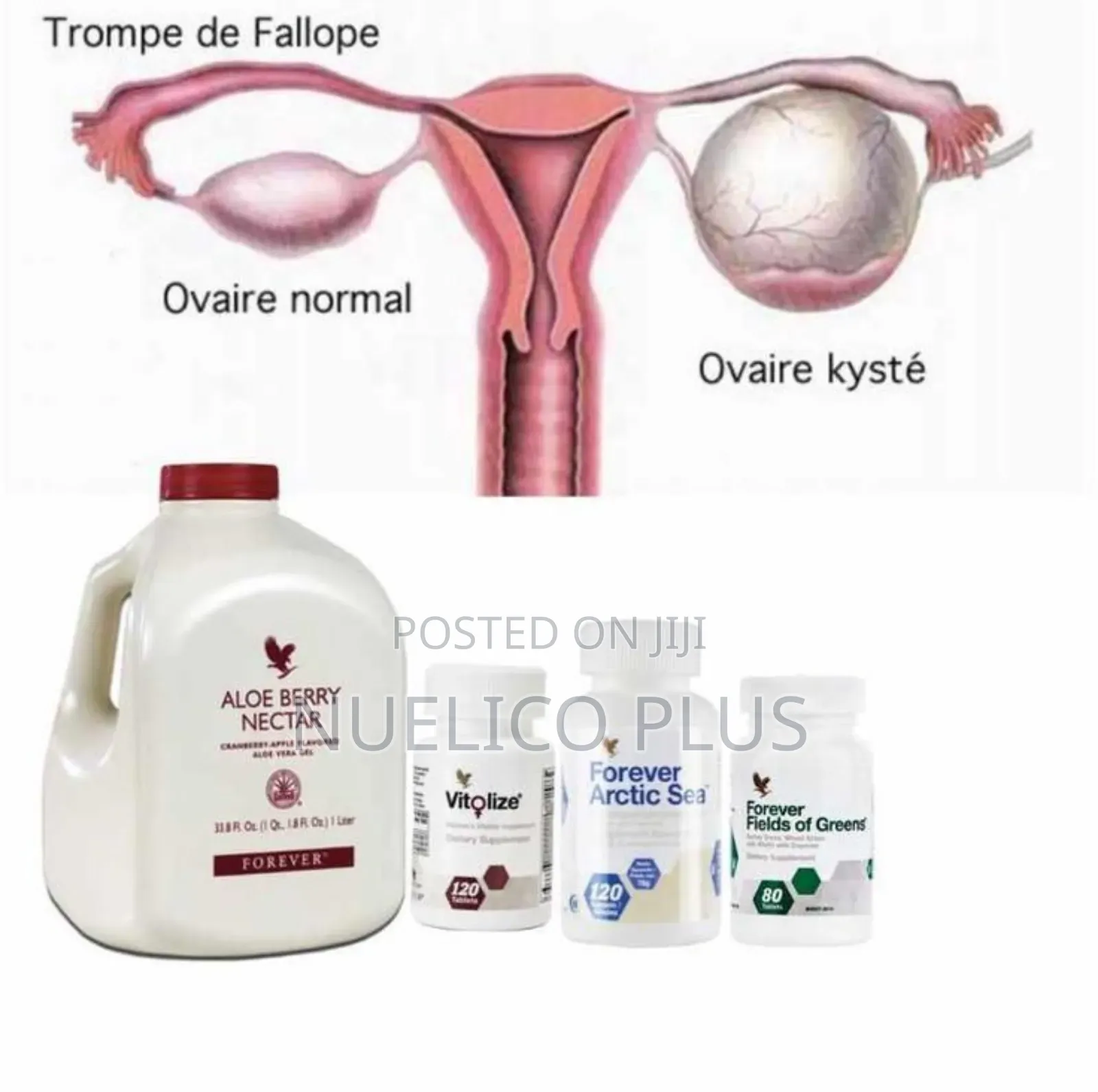 Fallopian Tube Cleanse Kits