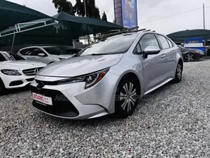 Toyota Corolla LE 2020 Silver