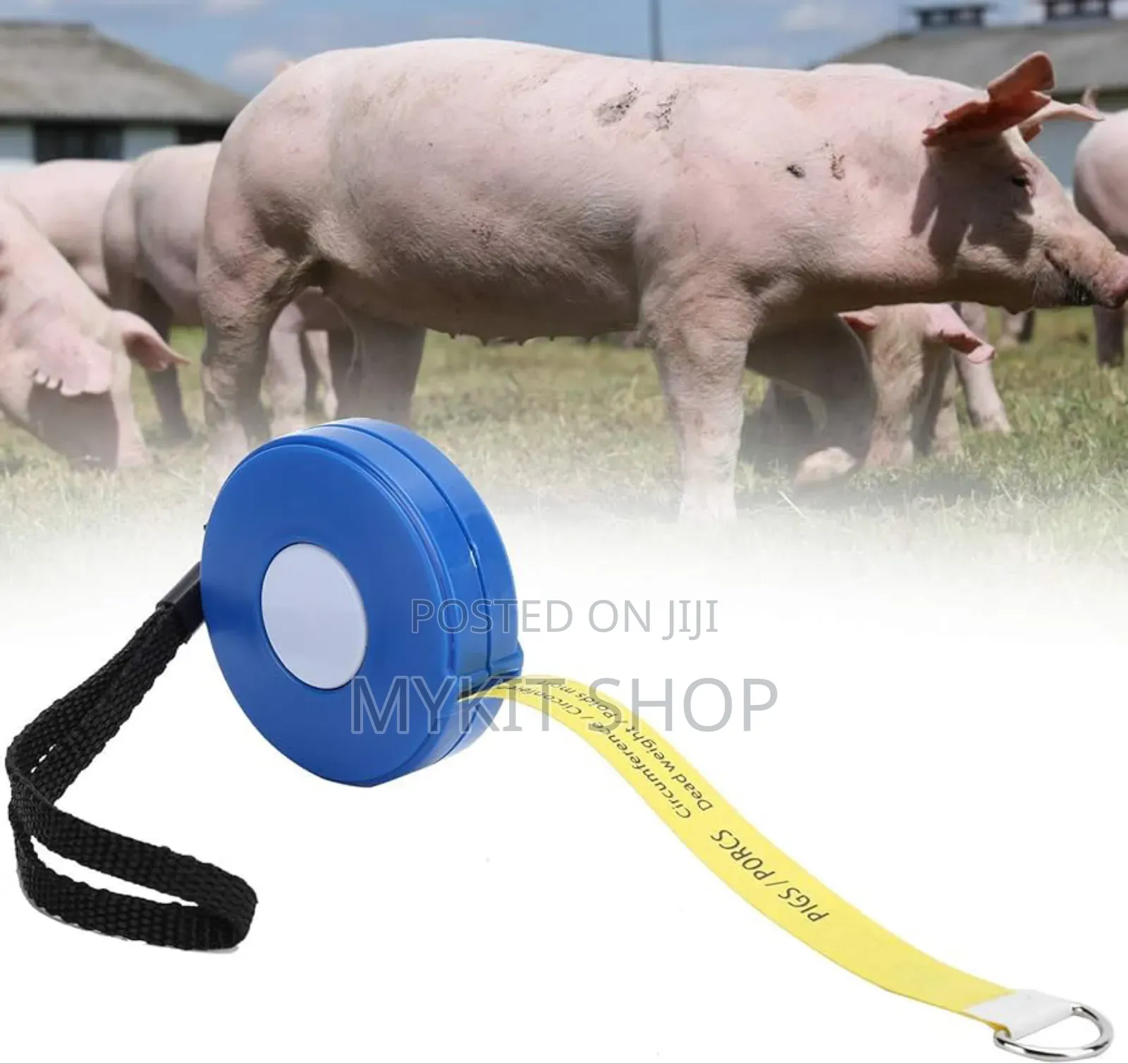 Pigs Weight Tape