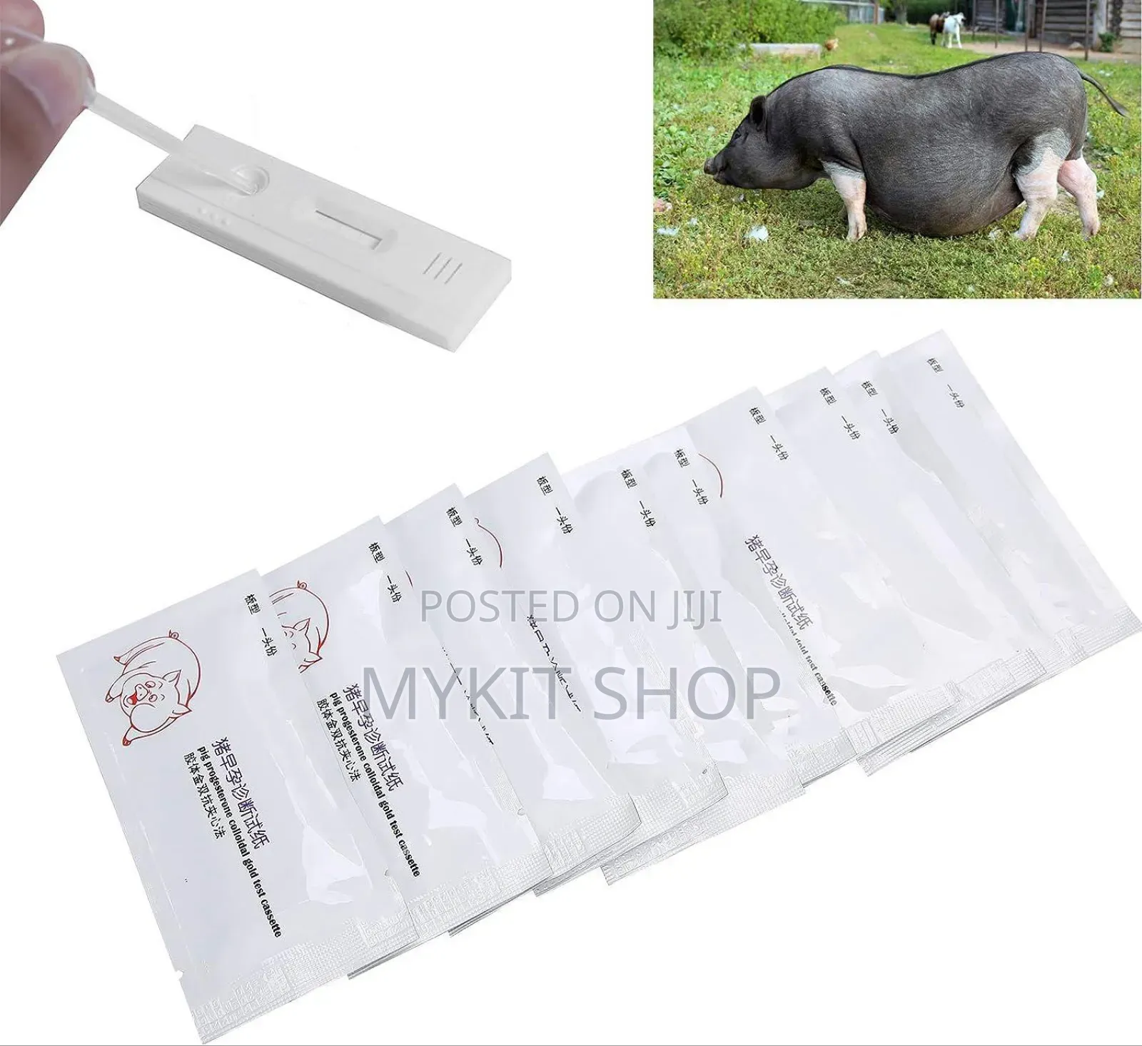 Pig Pregnancy Test