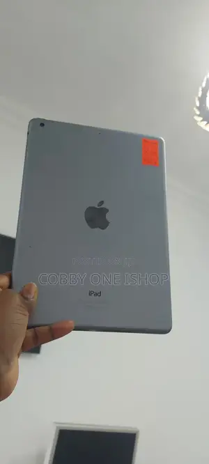 Apple iPad Air 16 GB Gray