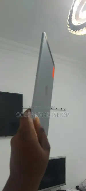 Apple iPad Air 2 64 GB Gray