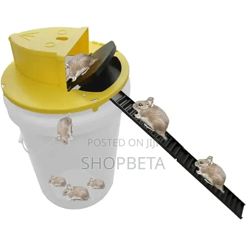Flip N Slide Bucket Lid Mouse Trap